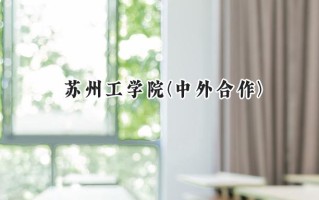 2024苏州工学院(中外合作)录取分数线：河南最低503分