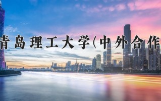 2024青岛理工大学(中外合作)录取分数线，重庆录取最低分499