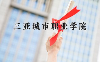 2024年三亚城市职业学院录取分数线，河北最低242分