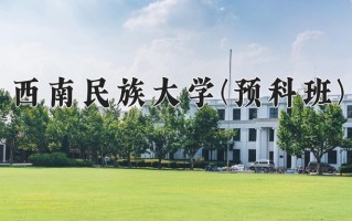 2024西南民族大学(预科班)录取分数线，重庆录取最低分519