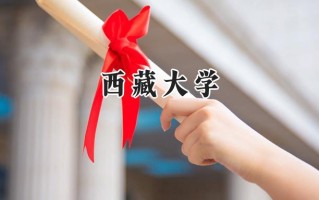 2024西藏大学录取分数线：江苏最低551分