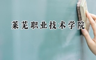 莱芜职业技术学院2024在内蒙古录取分数线是多少？最低216分/最高316分