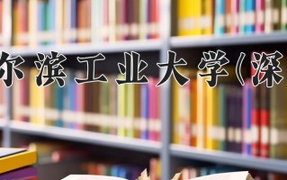 2024哈尔滨工业大学(深圳)录取分数线，重庆录取最低分613