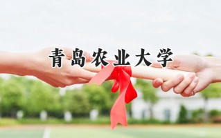 2024青岛农业大学录取分数线：陕西最低455分