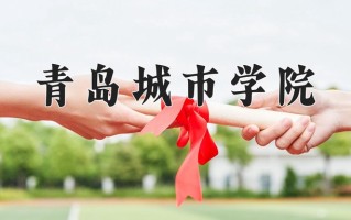2024青岛城市学院录取分数线，重庆录取最低分428