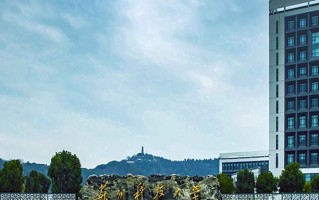江苏485分能上什么好大学？附2025年可以报考的大学名单