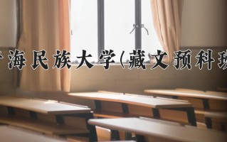 2024年青海民族大学(藏文预科班)录取分数线，青海最低398分