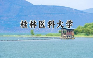 2024桂林医科大学录取分数线：山西最低493分