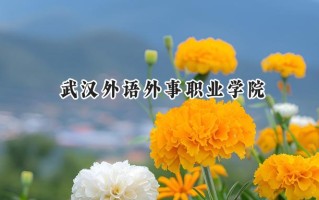 武汉外语外事职业学院2024在浙江录取分数线是多少？最低377分/最高492分