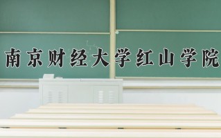 2024南京财经大学红山学院录取分数线，重庆录取最低分462
