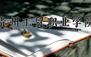 2024贵州工贸职业学院录取分数线：浙江最低363分