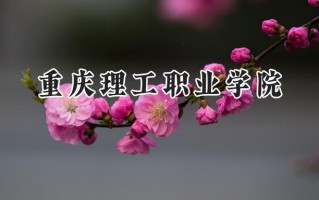 重庆理工职业学院2024在山东录取分数线是多少？最低291分/最高350分