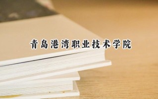 青岛港湾职业技术学院2024在江苏录取分数线是多少？最低349分/最高454分