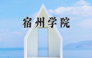 宿州学院最厉害的专业-2024宿州学院最好专业