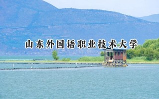 山东外国语职业技术大学2024在福建录取分数线是多少？最低416分/最高466分