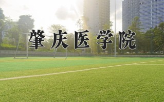 肇庆医学院学费多少钱一年：5800-6410元/年（2025填报参考）