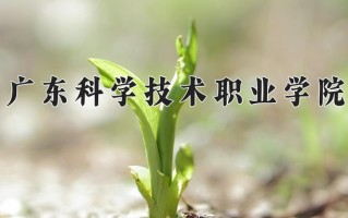 广东科学技术职业学院一年学费多少钱及各专业的收费标准（2025参考）