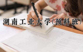 2024湖南工业大学(预科班)录取分数线，重庆录取最低分503