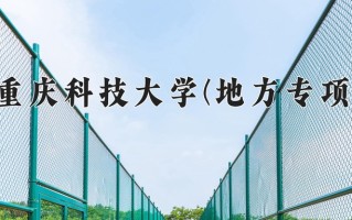 重庆科技大学(地方专项)学费多少钱一年：4625-5625元/年（2025填报参考）