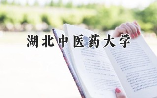 2024湖北中医药大学录取分数线：陕西最低448分