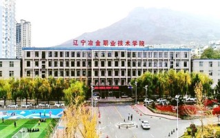 2024年辽宁冶金职业技术学院录取分数线，宁夏最低296分
