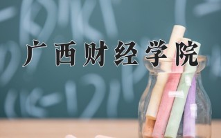2024广西财经学院录取分数线：浙江最低482分