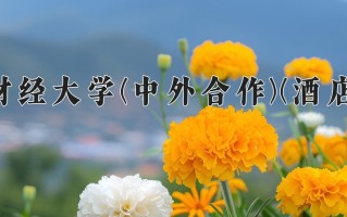 云南524分能上什么大学？附2025年可以报考的大学名单