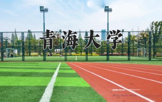 2024年青海大学录取分数线，新疆最低411分