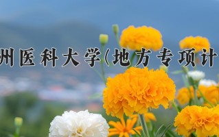 贵州医科大学(地方专项计划)学费多少钱一年：4200-4500元/年（2025填报参考）