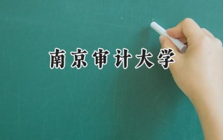 南京审计大学2024在上海录取分数线是多少？最低497分/最高522分