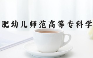 2025年合肥幼儿师范高等专科学校在四川计划招生人数（附学费及专业录取分)