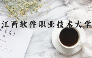 2025年江西软件职业技术大学在四川计划招生人数（附学费及专业录取分)