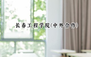 2024长春工程学院(中外合作)录取分数线：河南最低407分