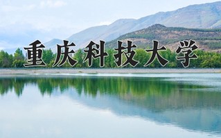 2024年重庆科技大学录取分数线，青海最低397分
