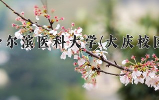 哈尔滨医科大学(大庆校区)学费多少钱一年：4000-5500元/年（2025填报参考）