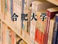 合肥大学王牌专业排名-含2025年全国各省录取最低分数线