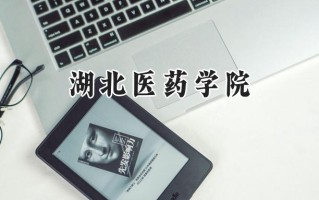 2024湖北医药学院录取分数线：天津最低578分