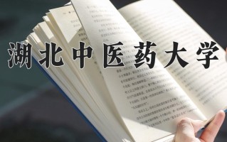 2024湖北中医药大学录取分数线：浙江最低530分