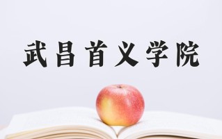 2024年武昌首义学院录取分数线，河北最低266分