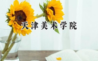 天津美术学院2024在上海录取分数线是多少？最低460分/最高467分