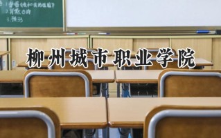 柳州城市职业学院2024在内蒙古录取分数线是多少？最低209分/最高281分