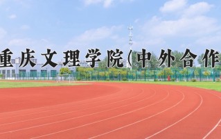 2024重庆文理学院(中外合作)录取分数线，重庆录取最低分469