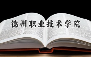德州职业技术学院2024在山东录取分数线是多少？最低314分/最高475分