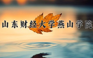 山东财经大学燕山学院学费多少钱一年：13800-19000元/年（2025填报参考）