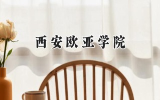 2024西安欧亚学院录取分数线：江苏最低462分