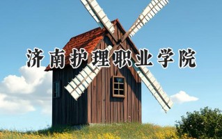 济南护理职业学院2024在青海录取分数线是多少？最低283分/最高347分