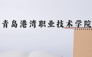 2024青岛港湾职业技术学院录取分数线：浙江最低421分