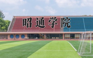 2024昭通学院录取分数线，重庆录取最低分494