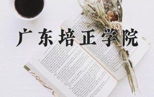 2024广东培正学院录取分数线：浙江最低469分