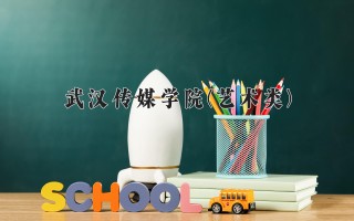 2024年武汉传媒学院(艺术类)录取分数线，河北最低449分